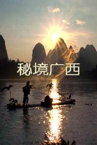 守护回家路上每一毫米的安全